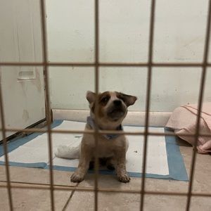 Meet your Posher, Gianna